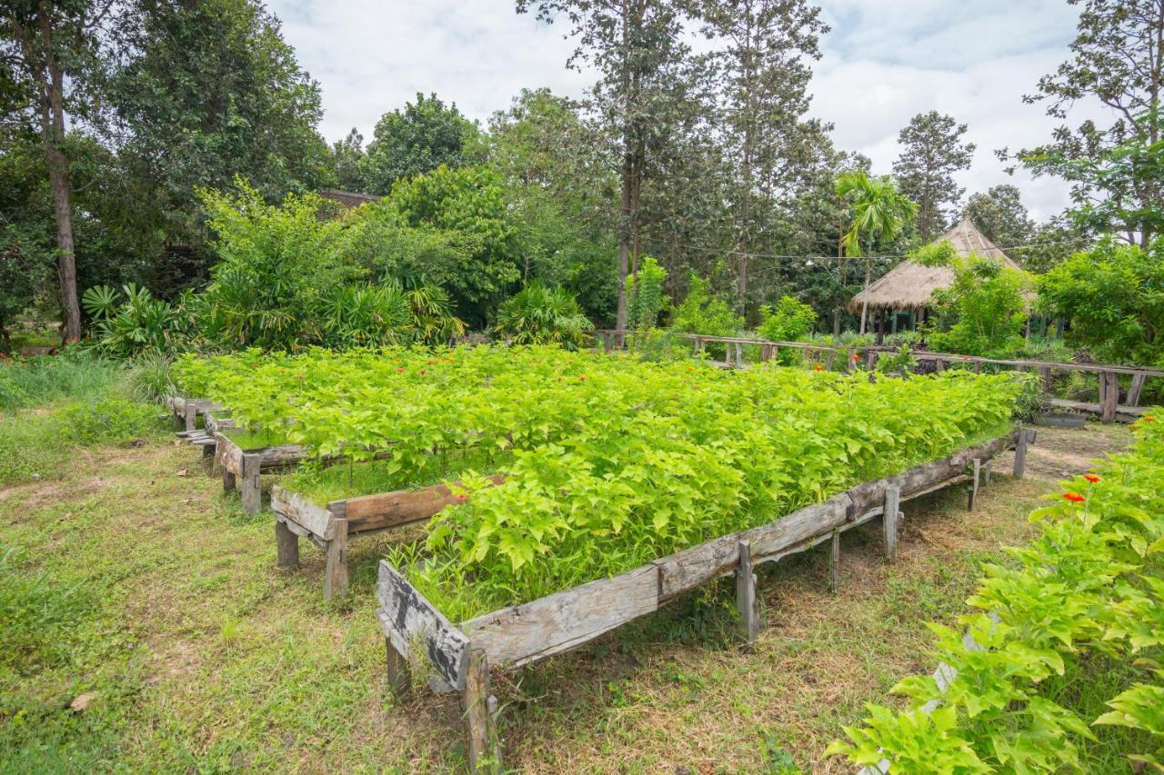 Bong Thom Forest Lodge Siem Reap Bagian luar foto